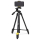 National Geographic NG NGPT001 mały - 1258699 - zdjęcie 5